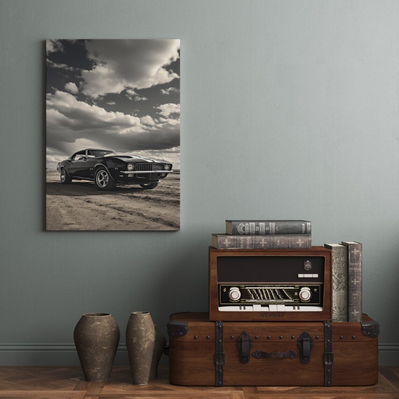 Frameloze moderne beroemde mer - Car Accessories Brand recensie en prijs